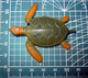 TARTARUGA TURTLE Figure - Turtles