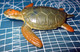 TARTARUGA TURTLE Figure - Tartarughe