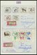 Delcampe - SAMMLUNGEN 1949-1990, Reichhaltige Briefsammlung In 11 Dicken Bänden, Meist FDC Und Portogerechte Einschreibbriefe, Auch - Sammlungen