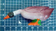 ANATRA DUCK Figure - Birds - Ducks