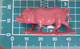MAIALE PIG  HONG KONG Figure - Pigs