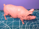 MAIALE PIG Figure - Maiali