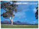 (500) Australia - (with Stamp At Back Of Postcard) - SA - Flinders Ranges - Flinders Ranges