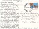 (500) Australia - (with Stamp At Back Of Postcard) - QLD - Tambo Cow Farming - Far North Queensland