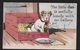 Comic Postcard - Lonely With No Callers - Dog In Box - Used 1916 - Comics