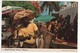Stamp , Timbre " Hibiscus " Sur Carte , Postcard De 1977 - Bahamas (1973-...)