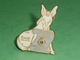 Pin's / Associations  : Lions Club , Canadian Mule Capital , Mule , Chevaux ( 4 X 3 Cm ) TB1CC - Verenigingen