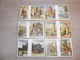 Beau Lot De 50 Series Anciens De LIEBIG ( 300 Chromos )       Mooi Lot Van 50 Oude Series Van LIEBIG ( 300 Prenten ) - Liebig