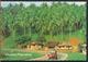 °°° 11552 - PHILIPPINES - QUEZON - COCONUT PLANTATION - 1992 °°° - Filippine