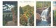 Delcampe - USA - Great Smoky Mountains National Park - Pochette Postale, Contenant 18 Vues - Format 9x14) -postcard Cover, 18 Views - Smokey Mountains