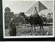 Delcampe - AFRIQUE ÉGYPTE VACANCES TOURISTES  LOT 5 PHOTOS ORIGINALES ET UNE VIEILLE CARTE POSTALE ANNÉES 1950 - 1960 - Luoghi