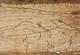 Delcampe - TABULA PEUTINGERIANA   DIE PEUTINGERSCHE TAFEL    Codex Vindobonensis 324 - 1. Oudheid