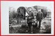 Carte Photo Soldats ALLEMAND Chiens - Weltkrieg 1914-18