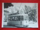 BELGIQUE - BRUXELLES -  ANVERS  PHOTO 15 X 10 - TRAM - TRAMWAY - LIGNE 8 - CHURCHILL - 4 MAI 1961 - - Public Transport (surface)