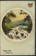 °°° 11784 - RUGGED WALES . SWALLOW FALLS , BETTWS Y COED - 1930 With Stamps °°° - Caernarvonshire