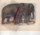 GRAVURE ANCIENNE COCLORISEE ELEPHANT - O ELEPHANTE-EDITEUR MAGALHAES & MONIZ- GOBIN - RAMUS-BUFFON - Estampes & Gravures