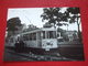 BELGIQUE - BRUXELLES - PHOTO 12.6 X 9 - TRAM - TRAMWAY - LIGNE 60 - Photo R. Temmerman - 7. 06 . 1961 - Public Transport (surface)