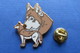 Pin's, CHIEN, Chien Nordic, Husky,Hund,Dog,dore Or Fin, Ballard Collection - Animals