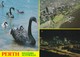 Postcard Perth Western Australia Multiview Black Swan Aerial View Of City & Night View From Kings Park My Ref  B22920 - Perth