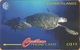 Cayman Island - CAY-47C, GPT, 47CCIC, Hawksbill Turtle, Diving, Scuba, Animals, 15$, 10.000ex, 1995, Used - Cayman Islands