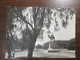 Vintage African Monument Camel - Khartoum Sudan Real Photo - Africa