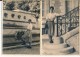 Lot De 5 Photos Amateur - 92 SCEAUX Juin 1952 - No CPA - Sceaux