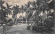 08431 "CUBA - HABANA - PARQUE DE COLON - COLUMBUS PARK"   ANIMATA. CART  SPED 1929 - Cuba