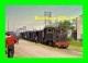 AL 361 - Train - Loco Blanc-Misseron 030 T N° 3-5 En Gare - PITHIVIERS - Loiret 45 - TPT - Pithiviers