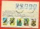 Russia 1995. Songbirds Of Russia. Complete Series.Envelope With A Passed The Mail. - Covers & Documents