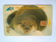 Estonia Baby Seal 30 Kr - Estonia