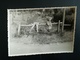 Delcampe - LOT 120 PHOTOS ORIGINALES DONT UN ALBUM DE 30 PHOTOS D UN COUPLE BELGIQUE  ANNÉES MAJORITAIREMENT  1940 À 1960 - Album & Collezioni