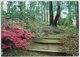 Australien, Mt. Lofty Botanic Garden - Andere & Zonder Classificatie