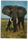 FAUNE AFRICAINE - ELEPHANT / THEMATIC STAMP - Elfenbeinküste