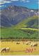 2017 - ROMANIAN  4 X Small Calendars - Landscape From Romania( 7x10 Cm) -5 Scans - Small : 2001-...