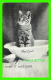 CATS, CHATS - I WISH IT WAS OVER - TRAVEL IN 1907 - P. S. &amp; CO - SERIE 102 No 4 - - Chats