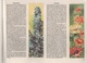 ALBUM COMPLET DE 84 CHROMOS VEEN FRERES BERCHEM-ANVERS - TUSSEN MAAS EN SCHELDE - 38 PAGES 30 X 23 CM - Albums & Catalogues