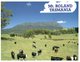 (70) Australia - With Stamp At Back Of Card - TAS - Mt Roland With Cows - Mackay / Whitsundays