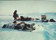 Greenland - Sirius Military Patrol. Dogs & Sledges.   B-3182 - Greenland