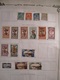 Delcampe - RARE COLLECTION  COLONIES FRANCAISES Dont INDOCHINE & CLASSIQUES / + De 1000 TIMBRES - Collections