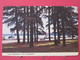 Visuel Très Peu Courant - USA - New Hampshire - Lake Massabesic - Scans Recto-verso - Autres & Non Classés