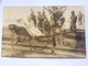 SOUTH AFRICA - Durban - Ricksaw - Real Photo - Zulu - South Africa