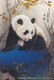 China - Shanghai 2010 EXPO Panda YOUYOU, Pedigree No.707, Male, Prepaid Card - 2010 – Shanghai (Chine)