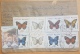 Syria 2016 CIVIL WAR PERIOD Cover Registered HAEFE Franked Butterflies  130L+ Tourism 25L Stamps = 155L, Undelivered - Syria