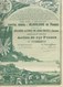 MINES DE FER DE ROUINA -ALGERIE- ACTION ILLUSTREE DE 250 FRS -ANNEE 1920 - Bergbau
