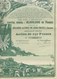 MINES DE FER DE ROUINA -ALGERIE- ACTION ILLUSTREE DE 250 FRS -ANNEE 1920 - Mineral