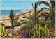 COSTA CANARIA, Playa Del Ingles, Las Palmas De Gran Canaria, Spain, Used Postcard [21845] - Gran Canaria