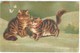 Belle Carte Illustrée De Chats Et Papillons Wenau Pastell + Cachet Prisonnier De Guerre En Allemagne - Sonstige & Ohne Zuordnung