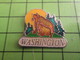 1018A Pin's Pins / Rare Et De Belle Qualité / THEME ANIMAUX : USA ETAT DE WASHINGTON OURSE ET OURSON - Animals