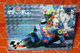 MOTO GP PANINI 2003  FONSI NIETO 40 - Motori