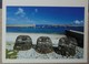 Petit Calendrier De Poche 2001 Photo Sandford Molène Finistère Bretagne - Phare Port... - Small : 2001-...